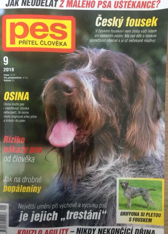 slovenský hrubosrstý stavač v časopise 