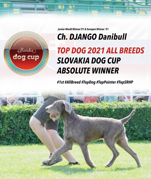 Django-top-dog-slovakia