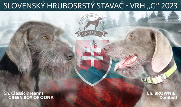 VRH-G-Slovensky-hrubosrsty-stavac