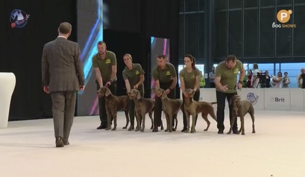 best-group-world-dog-show